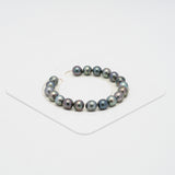 19pcs Multicolor 8mm - CL/SB AAA/AA Quality Tahitian Pearl Bracelet BR2038 OR7