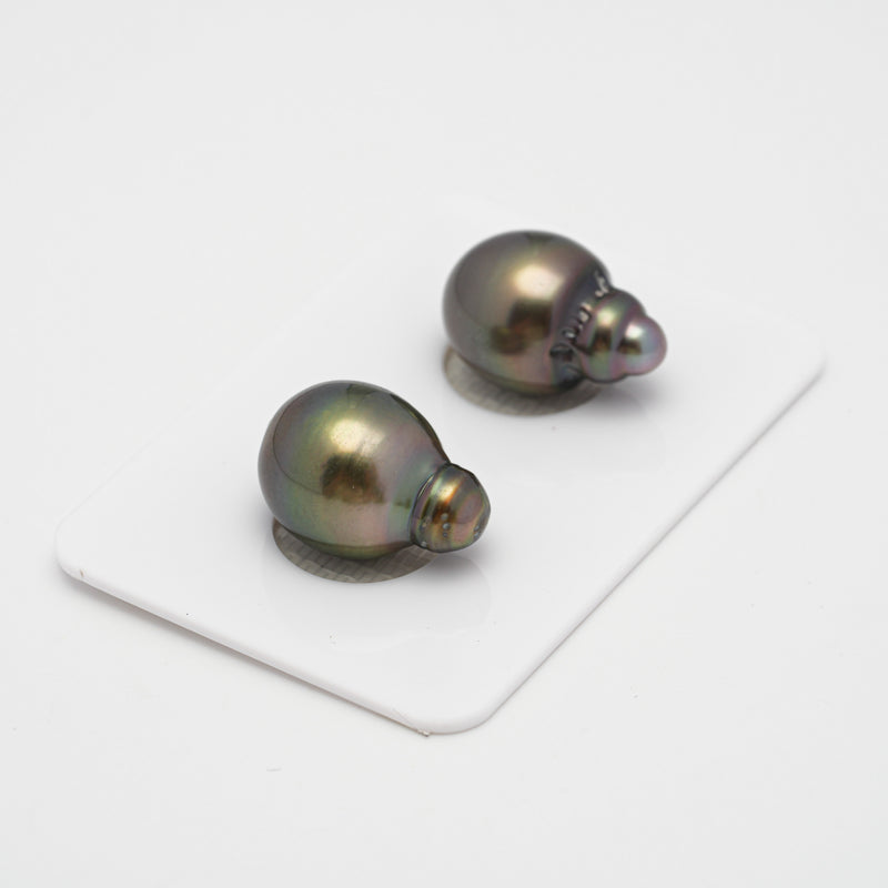 2pcs Brown 11.6-11.9mm - SB AAA Quality Tahitian Pearl Pair ER868