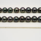 41pcs "High Luster" Dark Purple 8-11mm - SR/NR AAA Quality Tahitian Pearl Necklace NL1537 OR6