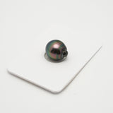 1pcs "High Luster" Peacock 11.1mm - SB AAA Quality Tahitian Pearl Single LP1992 MI1