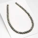 51pcs Green 8-10mm - SR/NR AA/A Quality Tahitian Pearl Drilled Necklace NL1577 CMP4