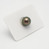 1pcs "Top Luster" Peacock 11.5mm - NR AA/AAA Quality Tahitian Pearl Single LP2130 A101