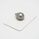 1pcs Green 11.6mm - SB AAA/AA Quality Tahitian Pearl Single LP1864 THMIX2.6