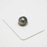 1pcs Peacock Green 11mm - CL AAA Quality Tahitian Pearl Single LP2017 OR7