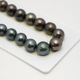 37pcs Blue Brown 11-13mm - NR AA/A Quality Tahitian Pearl Necklace NL1538 TH2