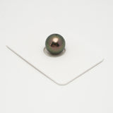 1pcs "Top Luster" Peacock 11.5mm - NR AA/AAA Quality Tahitian Pearl Single LP2130 A101