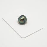 1pcs Peacock Green 11mm - CL AAA Quality Tahitian Pearl Single LP2017 OR7