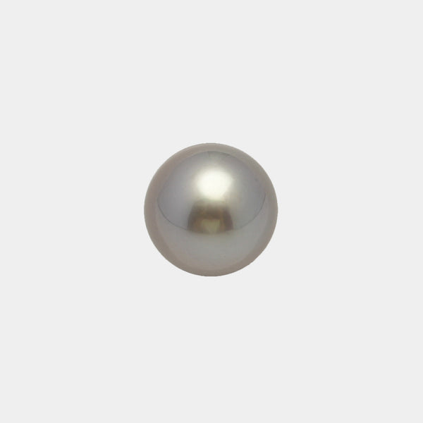 1pcs Light 12.6mm - NR/OV AAA Quality Tahitian Pearl Single LP1964 A101