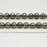 44pcs Green Mix 8-10mm - CL/SB AAA/AA Quality Tahitian Pearl Necklace NL1640 HL3