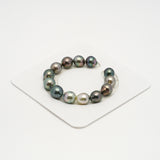 13pcs "High Luster" Multicolor 10-12mm - CL/SB AAA/AA Quality Tahitian Pearl Bracelet BR2188 HL3