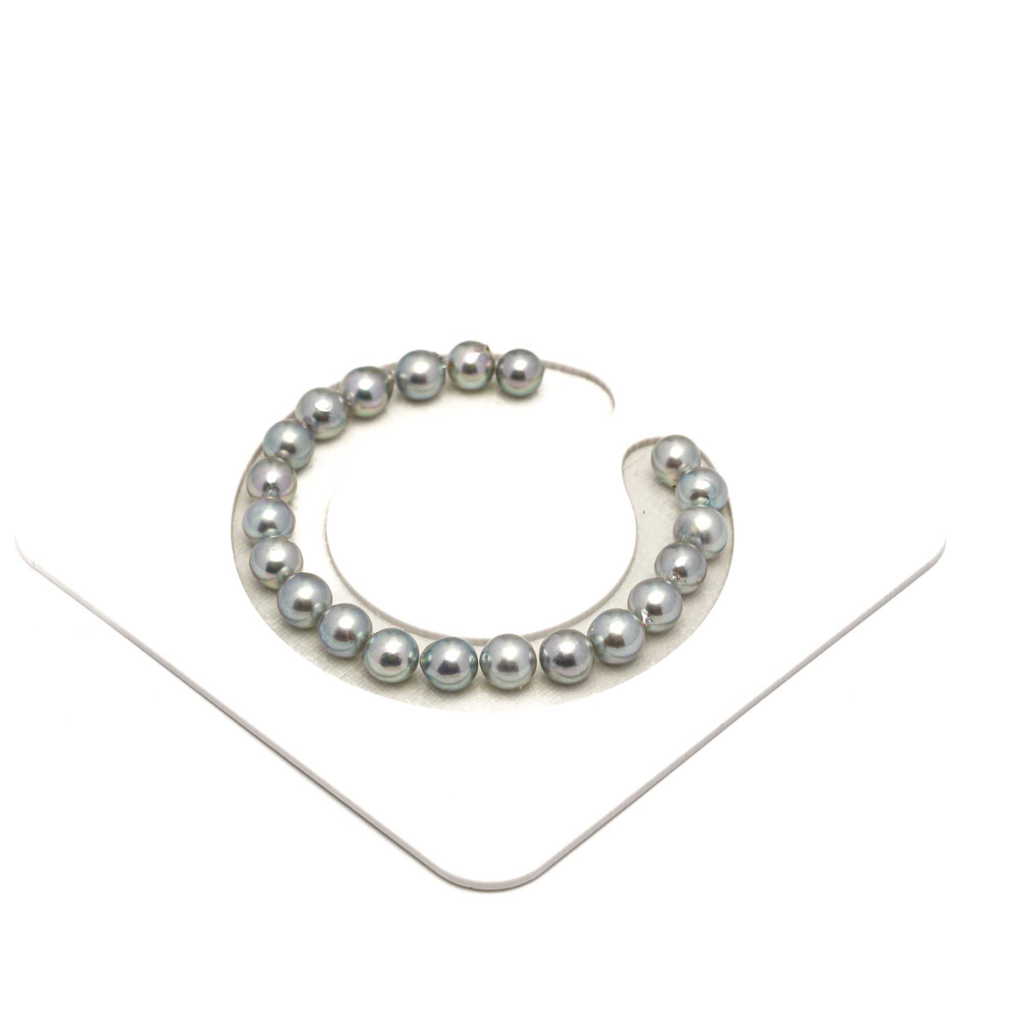 21pcs Akoya Pearl "High Luster" Silver Mix 7-7.8mm - SB/NR AA/AAA Quality Bracelet AKBR2395 CMA1
