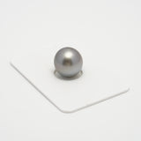 1pcs Light 12.6mm - NR/OV AAA Quality Tahitian Pearl Single LP1964 A101