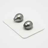 2pcs Light 10.5-10.6mm - SB AAA Quality Tahitian Pearl Pair ER1542 A101