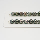 44pcs Green Mix 8-10mm - CL/SB AAA/AA Quality Tahitian Pearl Necklace NL1640 HL3