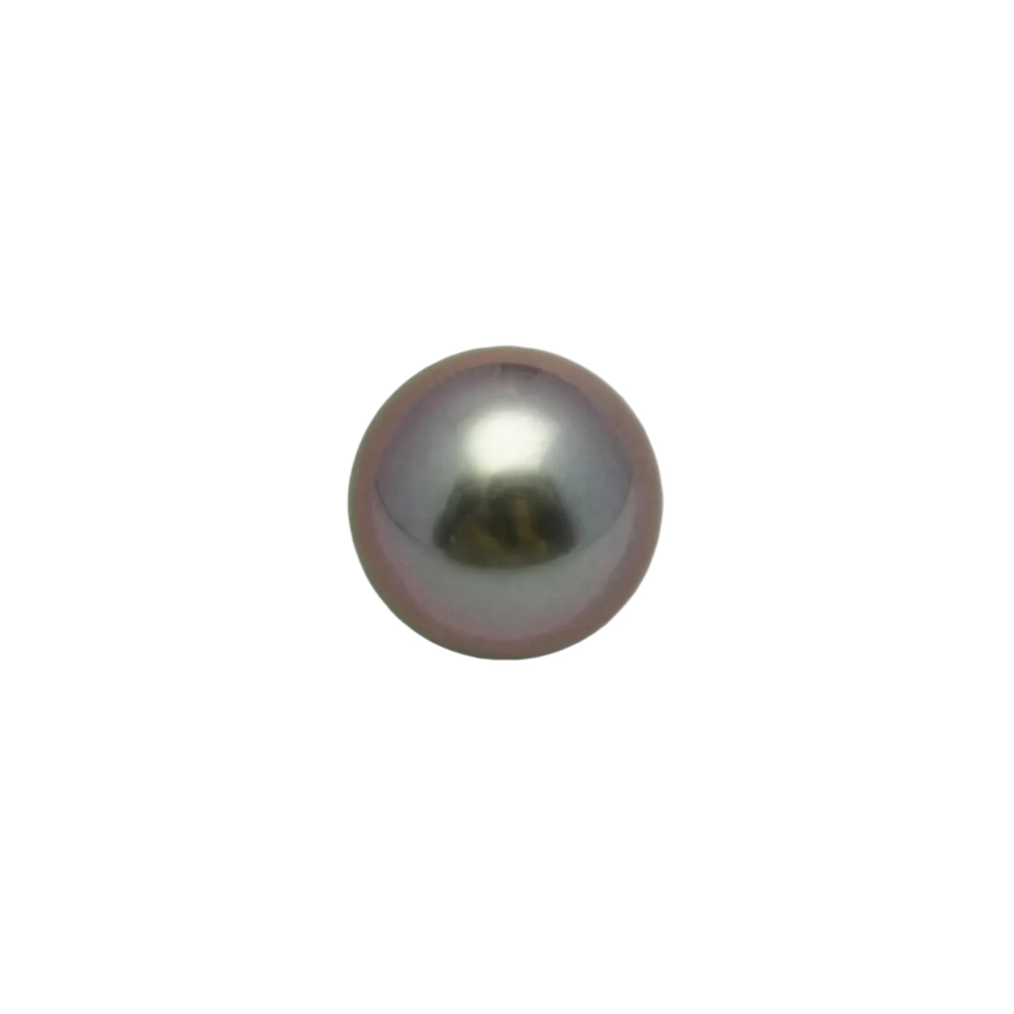 1pcs Peacock 10.3mm - SB AAA Quality Tahitian Pearl Single LP2087 A101