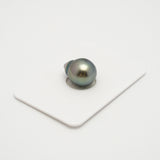 1pcs Light Green 11.6mm - SB AAA Quality Tahitian Pearl Single LP1888 HL1