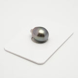 1pcs Light Blue 11.2mm - SB AAA Quality Tahitian Pearl Single LP1994 HL2