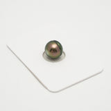 1pcs "High Luster" Peacock 10mm - CL AAA Quality Tahitian Pearl Single LP2019 OR7