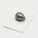 1pcs "High Luster" Green 12.4mm - CL AAA Quality Tahitian Pearl Single LP2071 THMIX2