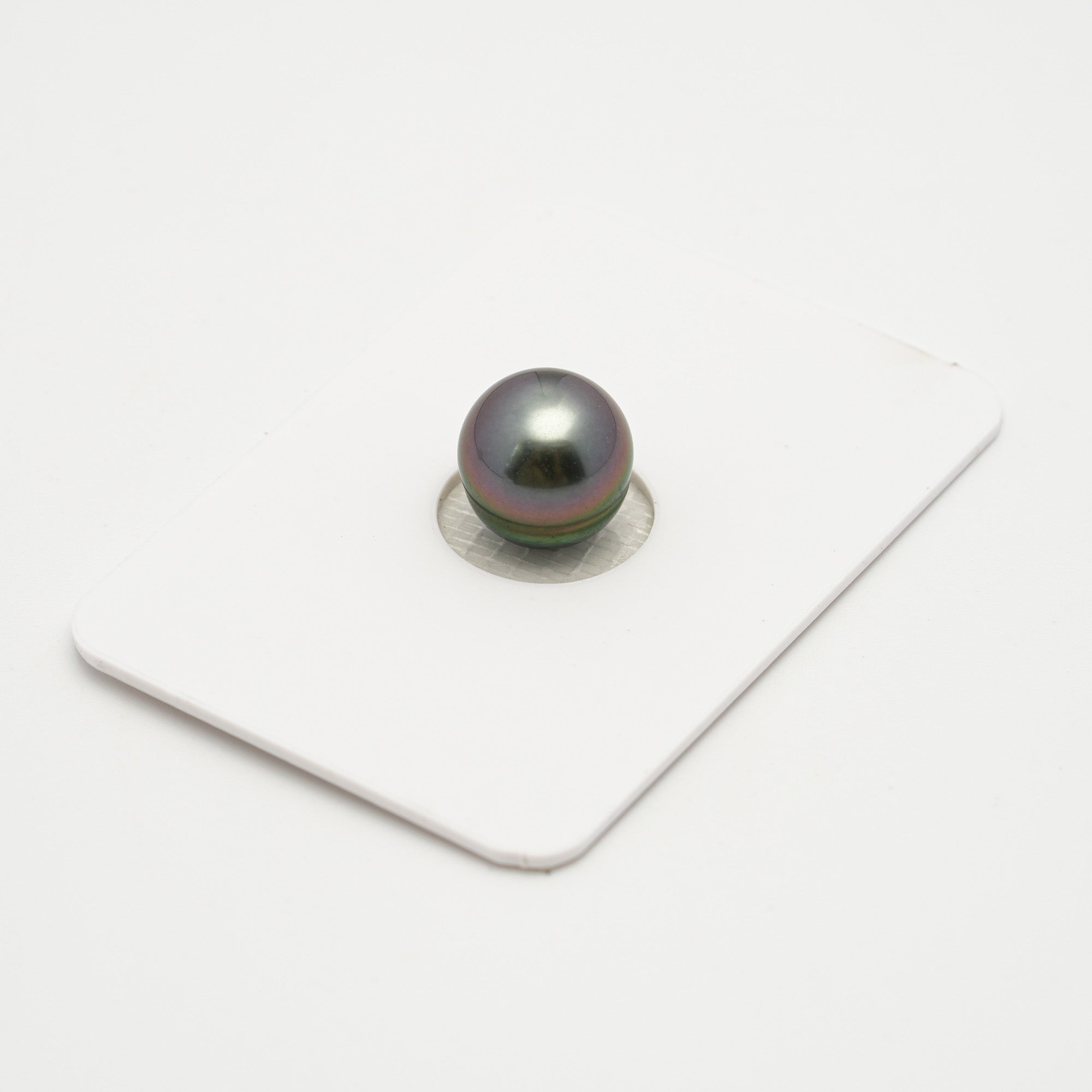 1pcs Peacock 10.3mm - SB AAA Quality Tahitian Pearl Single LP2087 A101