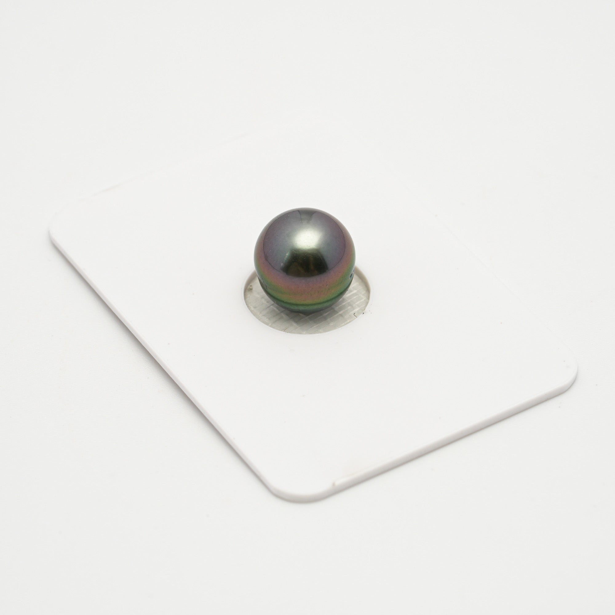 1pcs Peacock 10.3mm - SB AAA Quality Tahitian Pearl Single LP2087 A101