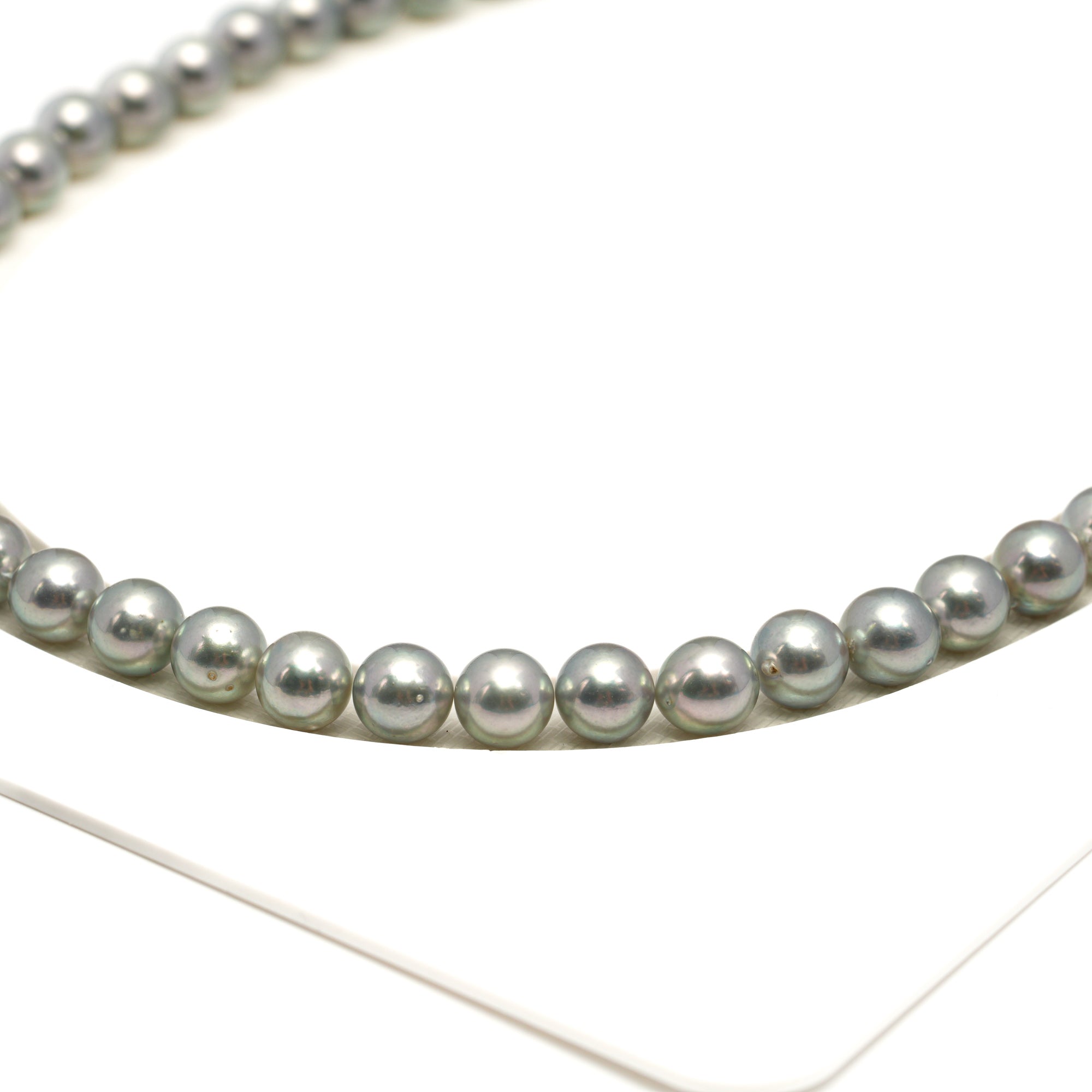 48pcs Akoya Pearl "High Luster" Silver Green 7.3-7.9mm - SR/NR AA Quality Necklace AKNL1756 CMA1