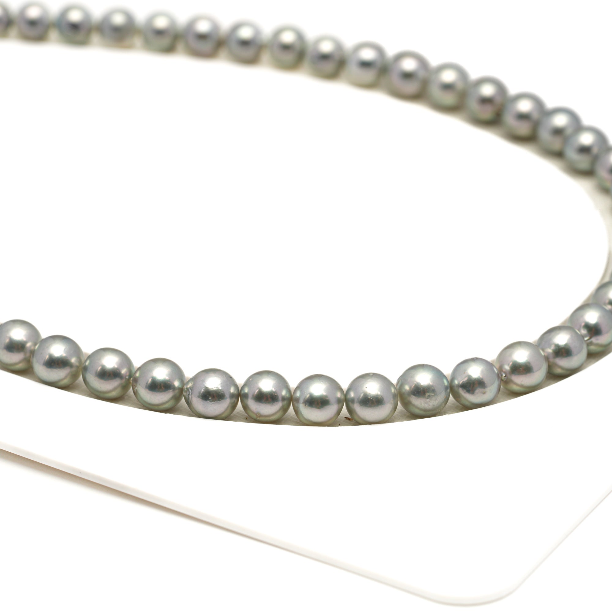 48pcs Akoya Pearl "High Luster" Silver Green 7.3-7.9mm - SR/NR AA Quality Necklace AKNL1756 CMA1