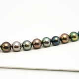 48pcs "Top Luster" Multicolor 8-10mm - SR/NR AAA/AA Quality Tahitian Pearl Necklace NL1564 OR10