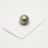 1pcs "High Luster" Light Grey 12.1mm - SBQ AAA Quality Tahitian Pearl Single LP2088 A101