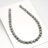 36pcs "High Luster" Silver Mix 9-11mm - CL/SB AAA/AA Quality Tahitian Pearl Necklace NL1599 HL3