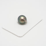 1pcs Green 11.6mm - SB AAA/AA Quality Tahitian Pearl Single LP1867 THMIX2