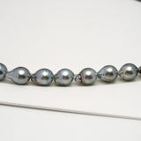 36pcs "High Luster" Silver Mix 9-11mm - CL/SB AAA/AA Quality Tahitian Pearl Necklace NL1599 HL3