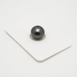 1pcs Aubergine 11mm - BT AAA/AA Quality Tahitian Pearl Single LP2108 OR10