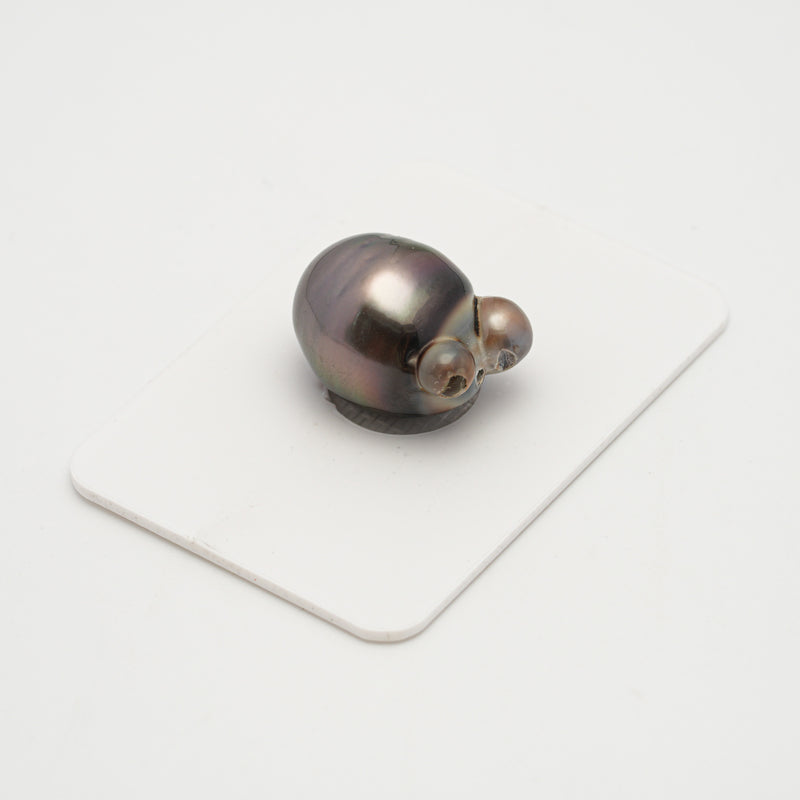 1pcs Brown 14mm - SBQ AA Quality Tahitian Pearl Single LP1912