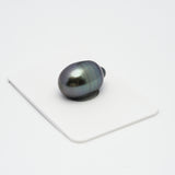 1pcs Purple Green 12.3mm - SB AAA Quality Tahitian Pearl Single LP1847 TH2