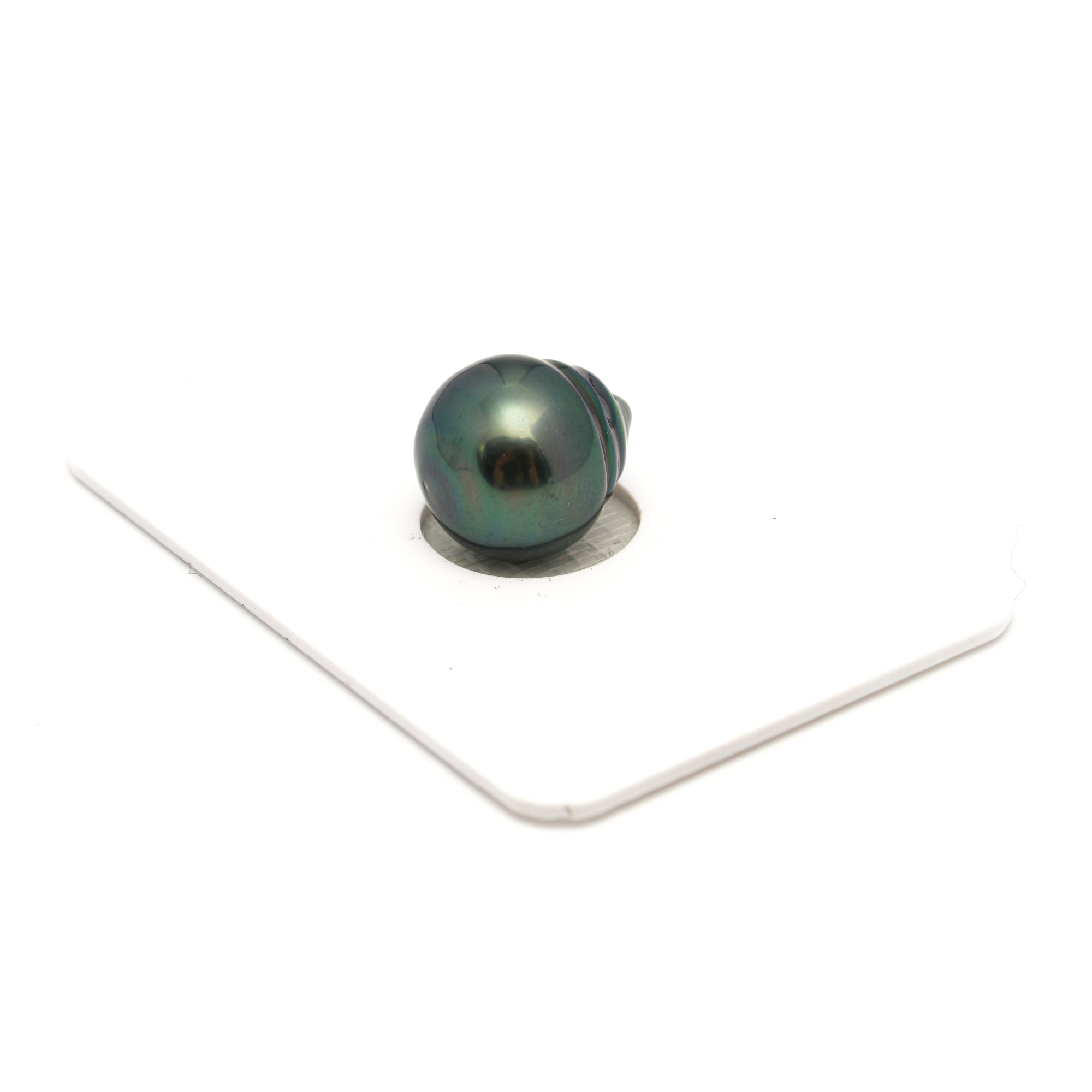 1pcs "High Luster" Blue Green 11.5mm - CL/SB AAA Quality Tahitian Pearl Single LP2389 TH5
