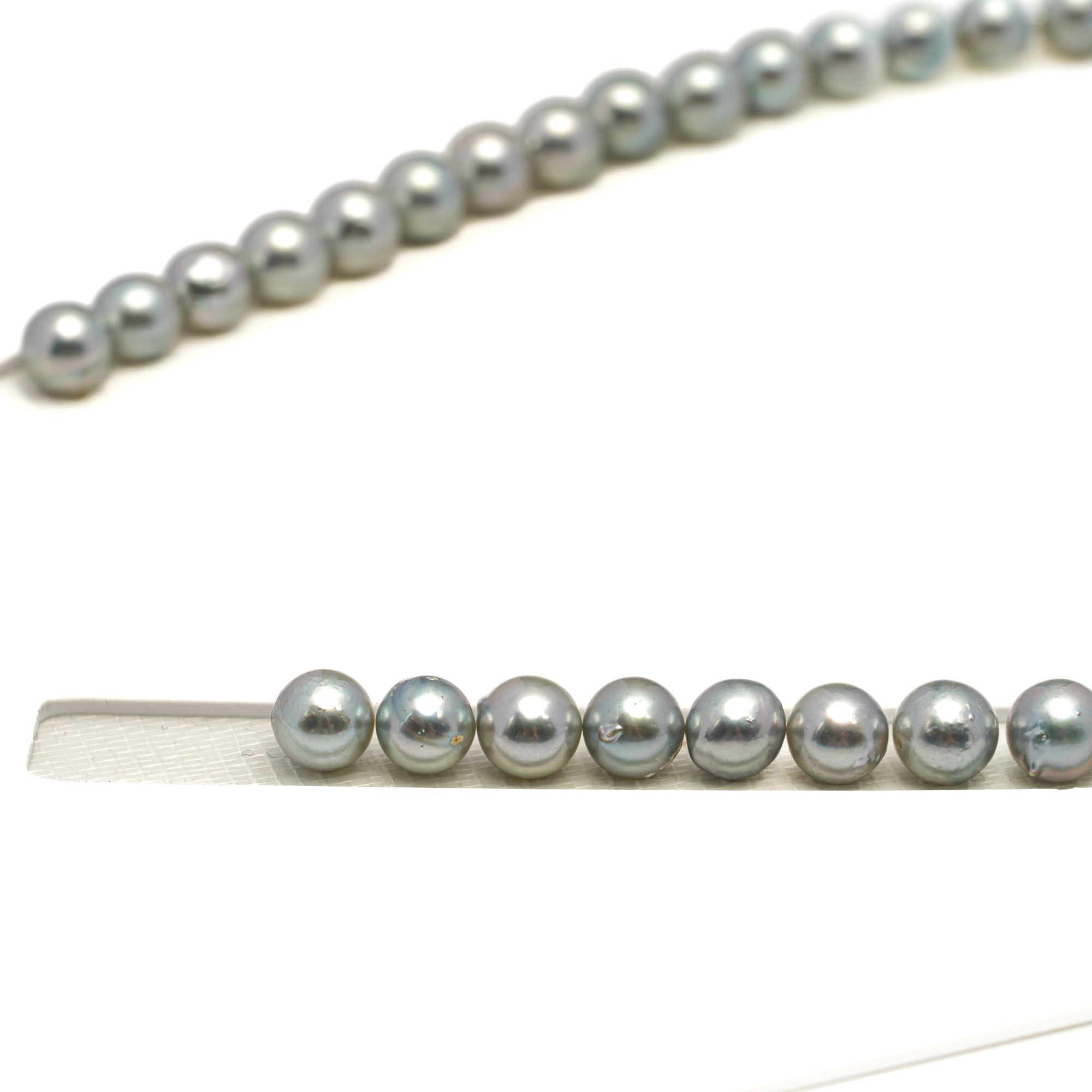 53pcs Akoya Pearl Silver Mix 7.2-7.9mm - SB/NR AA/A Quality Necklace AKNL1750 CMA1