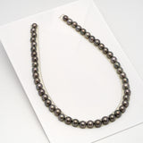 48pcs Brown 8-10mm - SR AA/A Quality Tahitian Pearl Drilled Necklace NL1581 CMP4