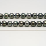 41pcs Blue Green 10-11mm - SB AA/AAA Quality Tahitian Pearl Necklace NL1642 HL3