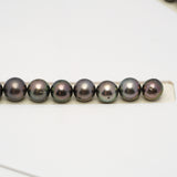 48pcs Brown 8-10mm - SR AA/A Quality Tahitian Pearl Drilled Necklace NL1581 CMP4