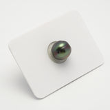 1pcs Aubergine 10.5mm - CL AAA Quality Tahitian Pearl Single LP2024 OR7