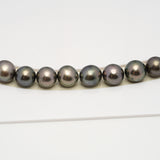 48pcs Brown 8-10mm - SR AA/A Quality Tahitian Pearl Drilled Necklace NL1581 CMP4