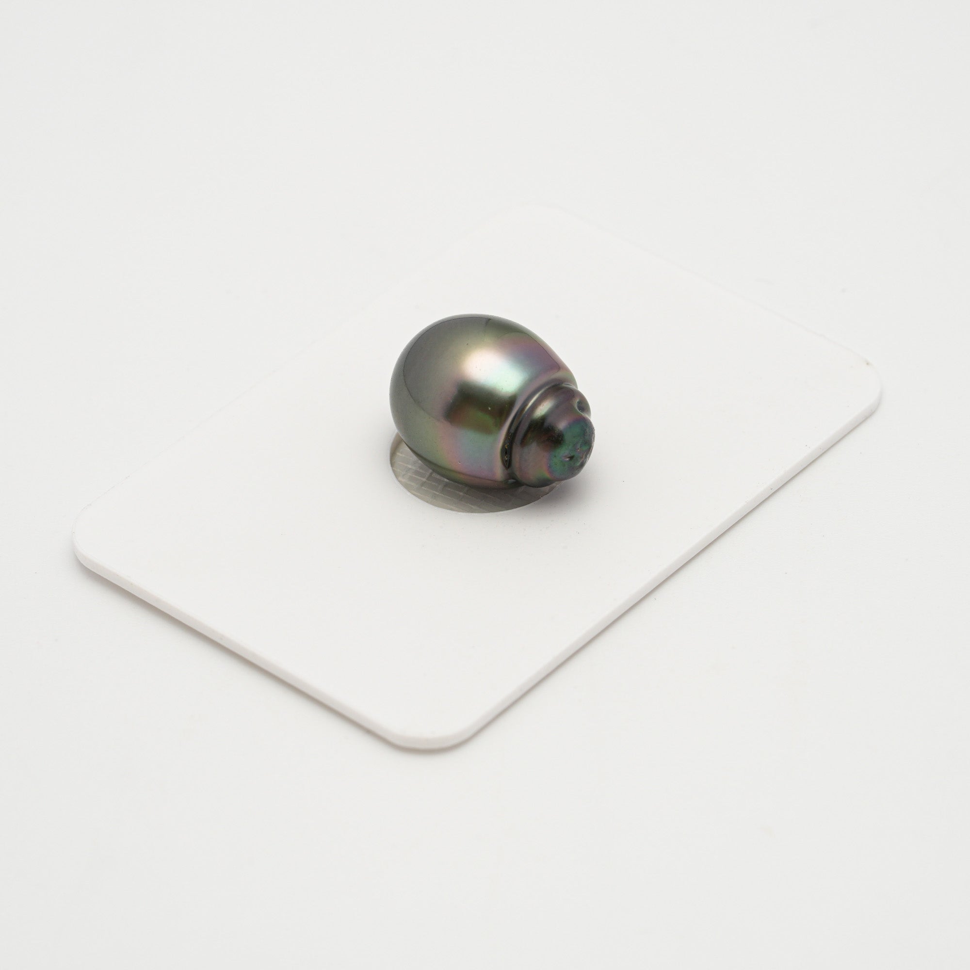 1pcs Green 11.5mm - SB AAA Quality Tahitian Pearl Single LP1913 HL1