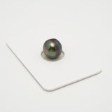 1pcs Aubergine 10.5mm - CL AAA Quality Tahitian Pearl Single LP2024 OR7