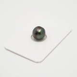 1pcs Aubergine 10.5mm - CL AAA Quality Tahitian Pearl Single LP2024 OR7