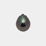 1pcs Purple 10.5mm - SB AAA Quality Tahitian Pearl Single LP2141 HL3