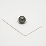 1pcs Aubergine 10.5mm - CL AAA Quality Tahitian Pearl Single LP2024 OR7