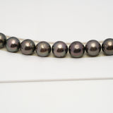 48pcs Brown 8-10mm - SR AA/A Quality Tahitian Pearl Drilled Necklace NL1581 CMP4