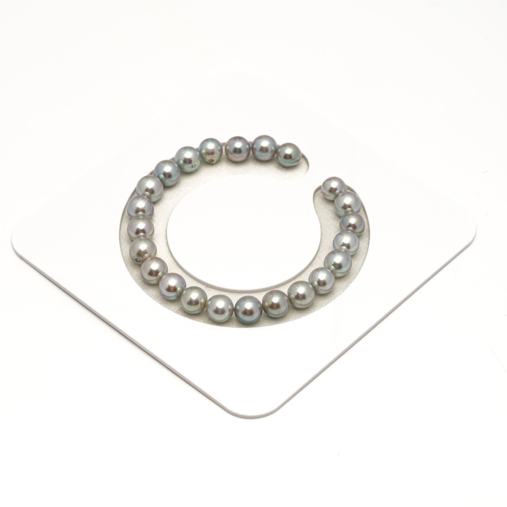 23pcs Akoya Pearl "High Luster" Silver Light 7.3-7.8mm - SR/NR AA/AAA Quality Bracelet AKBR2388 CMA1