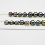 43pcs "High Luster" Multicolor 8-11mm - CL AAA Quality Tahitian Pearl Necklace NL1252 OR7